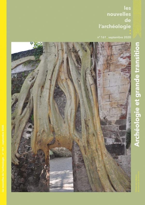 Les Nouvelles de l'archéologie, n° 161, septembre 2020 : La grande transition
