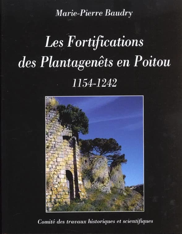 Les fortifications des Plantagenêts en Poitou : 1154-1242