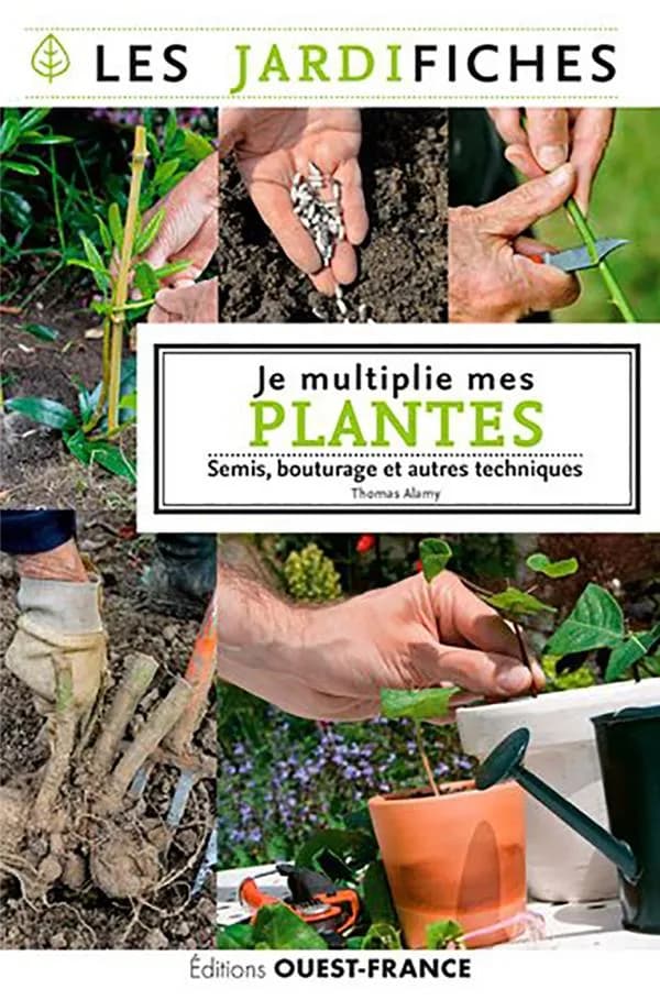 Je multiplie mes plantes : semis, bouturages et autres techniques