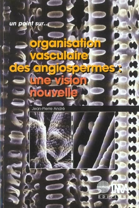 Organisation vasculaire des Angiospermes : une vision nouvelle