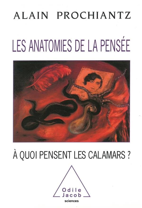 Les anatomies de la pensée : à quoi pensent les calamars?