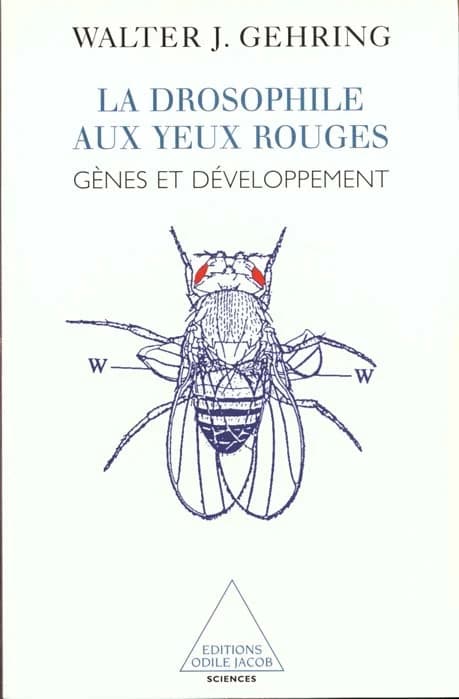 La drosophile aux yeux rouges : gènes et développement