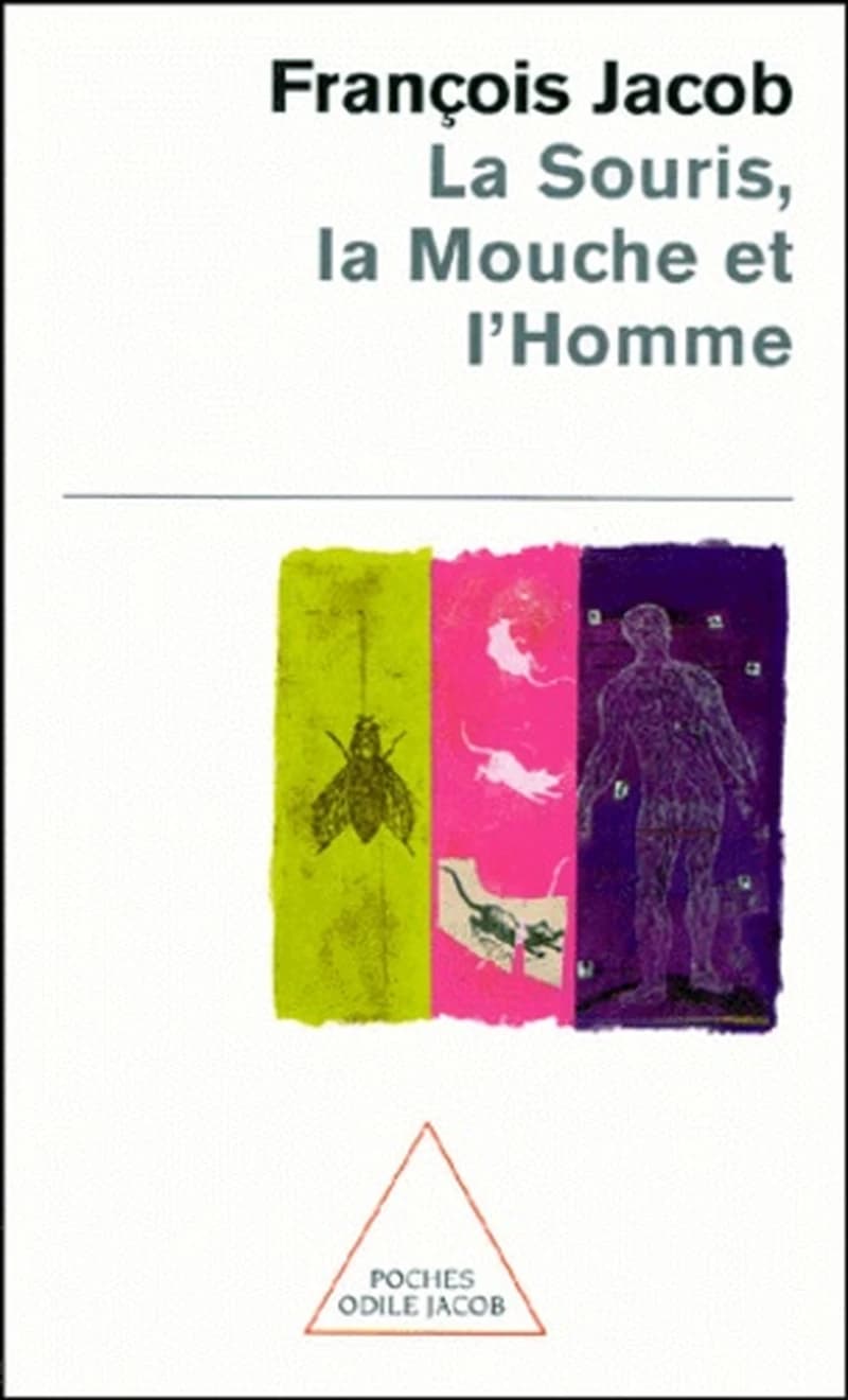 La souris, la mouche et l'homme