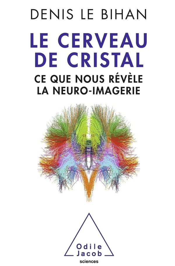Le cerveau de cristal : ce que nous revèle la neuro-imagerie