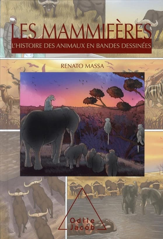 Les mammifères