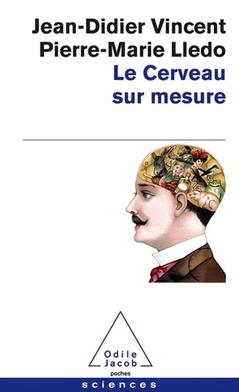 Le Cerveau sur mesure