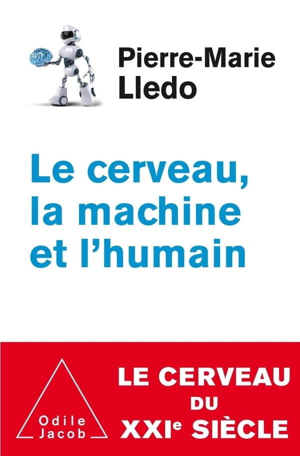 Le Cerveau Au Xxie Siecle