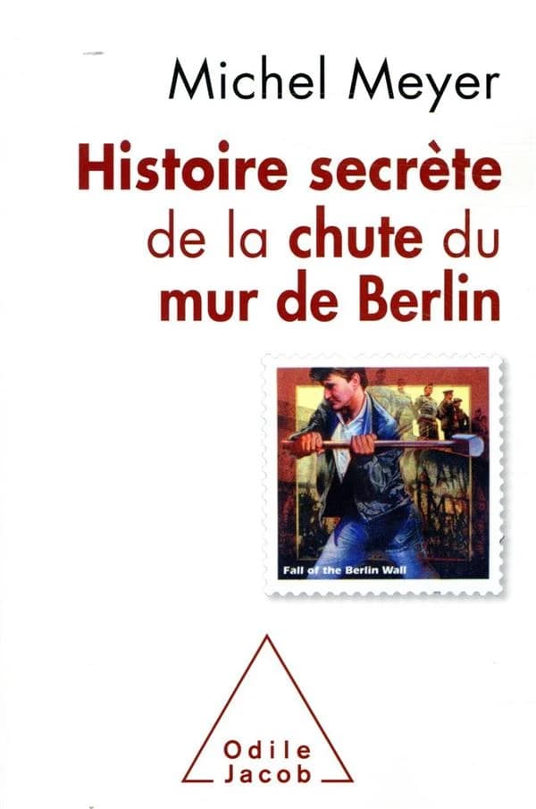 Histoire secrète de la chute du mur de Berlin (Nouvelle éd. augmentée) Michel Meyer