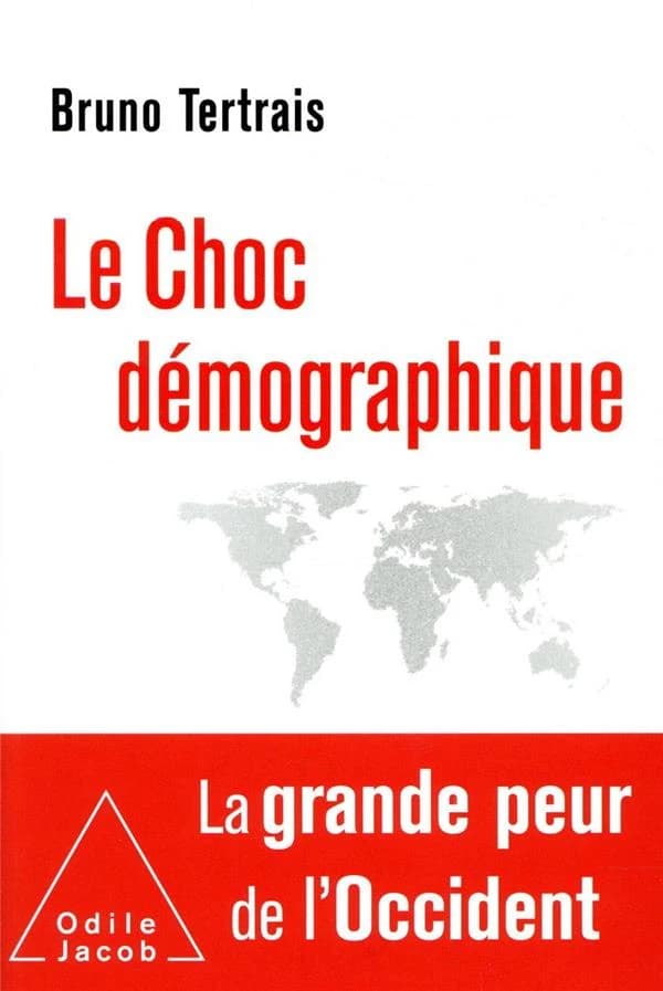 Le choc démographique