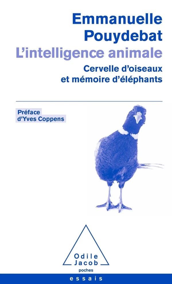 L'intelligence animale ; cervelle d'oiseaux et mémoire d'éléphants