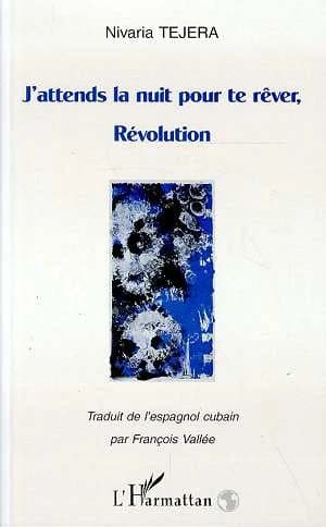 J'attends la nuit pour te rêver, révolution : essai