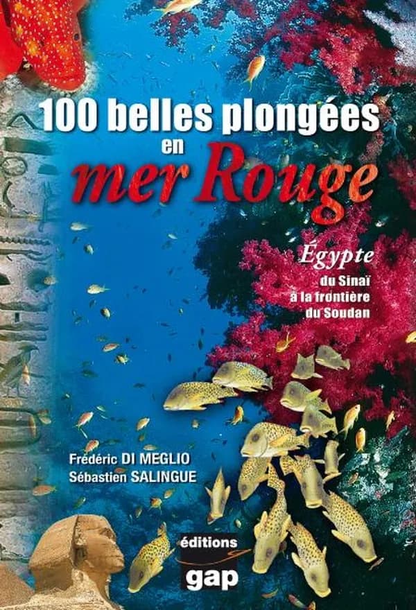 100 belles plongées en mer Rouge : Égypte, du Sinaï à la frontière du Soudan
