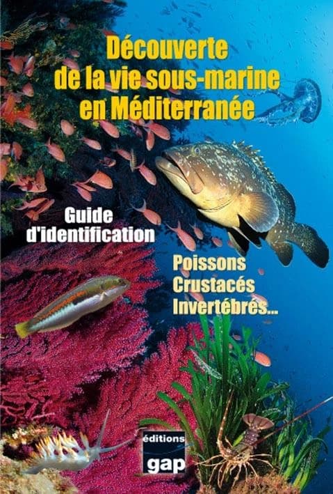 Découverte de la vie sous-marine en Méditerranée ; plaquette papier pellicule