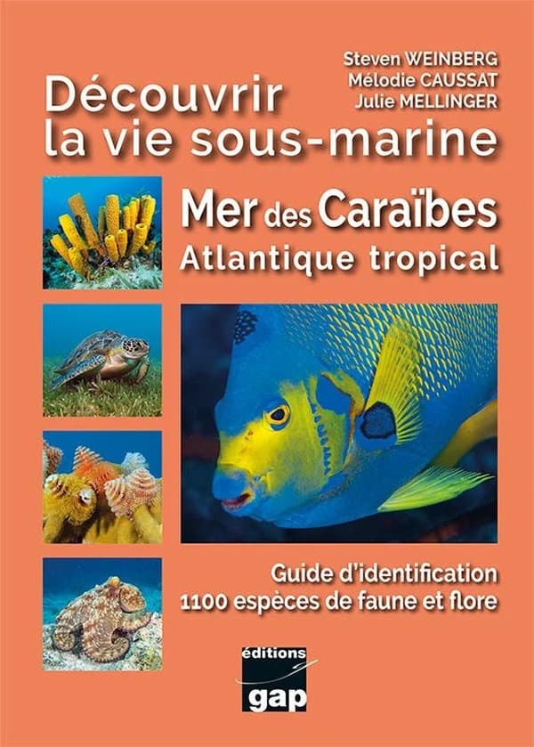 Découvrir la vie sous-marine : mer des Caraïbes et Atlantique tropical : guide d'identification de 1100 espèces de faune et flore