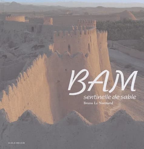 Bam : sentinelle de sable