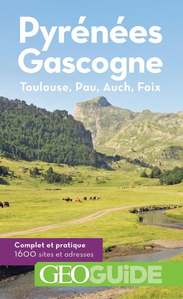 Pyrénées, Gascogne (7e éd.) Éva Cantavenera, Clude Faber, Pierre Guitton... [et al.] ; ont également collaboré... Sylvie Barnay, Sophie Bobbé, Corine Eychenne... [et al.]