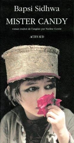 Mister Candy : roman
