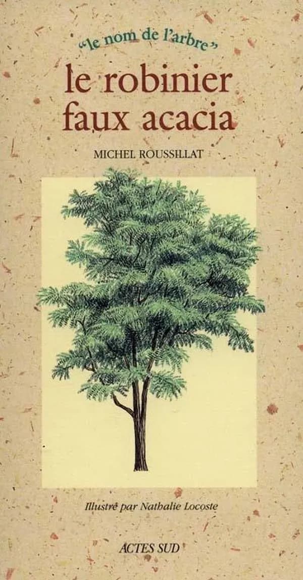 Le robinier, faux acacia