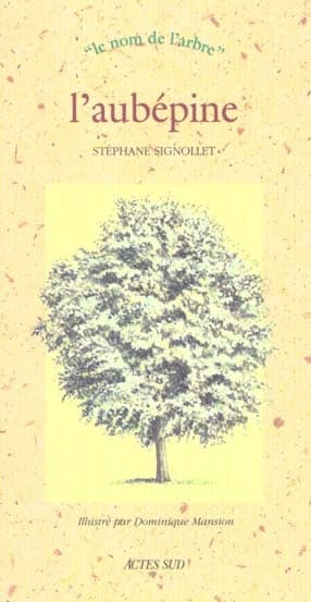 L'aubépine