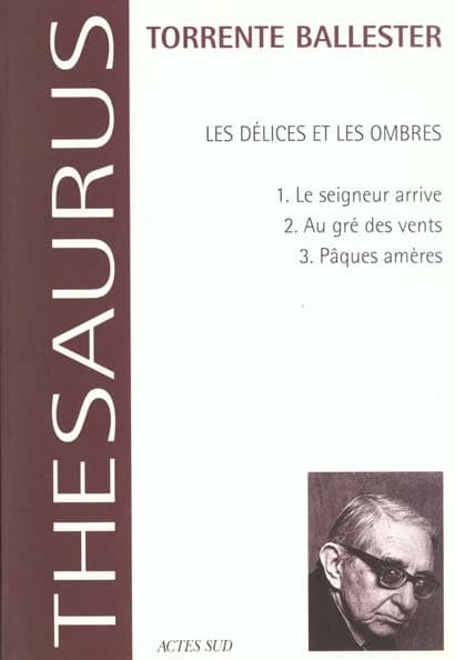 Les délices et les ombres... : roman