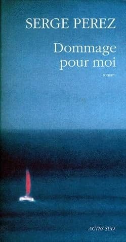 Dommage pour moi : roman