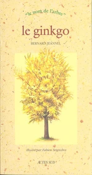 Le ginkgo