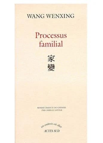 Processus familial : roman