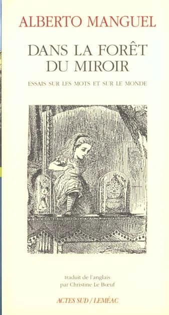 Dans la forêt du miroir : essais sur les mots et le monde