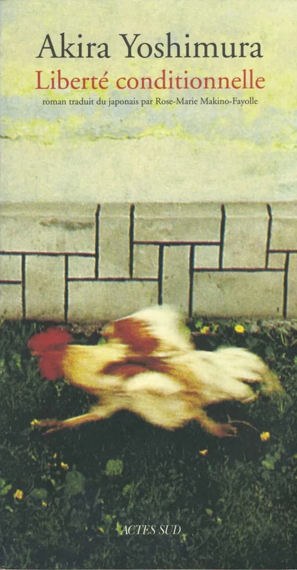 Liberté conditionnelle : roman