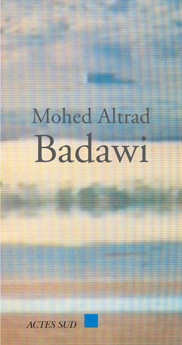 Badawi : roman
