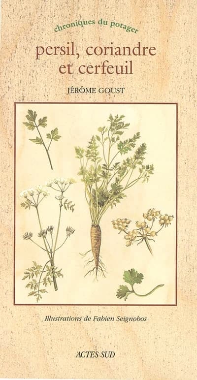 Persil, coriandre et cerfeuil