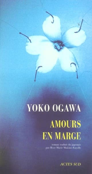 Amours en marge : roman