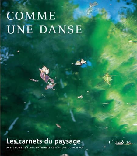 Comme une danse