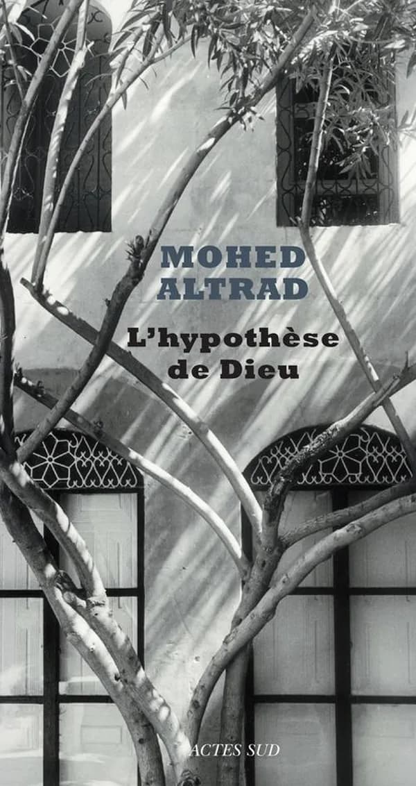 L'hypothèse de Dieu : roman