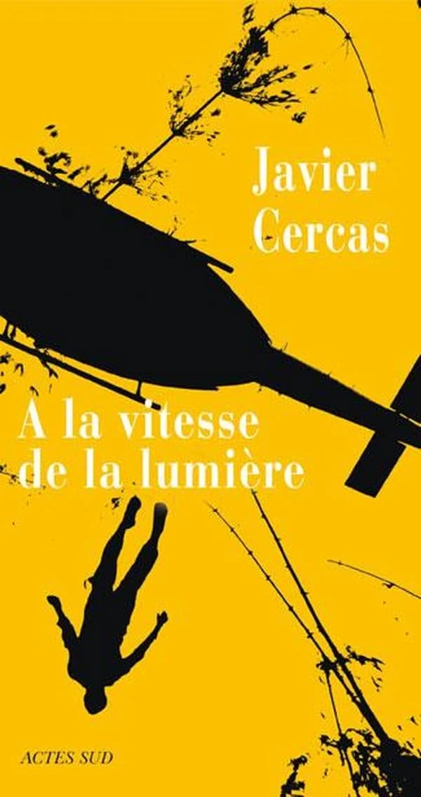 À la vitesse de la lumière : roman