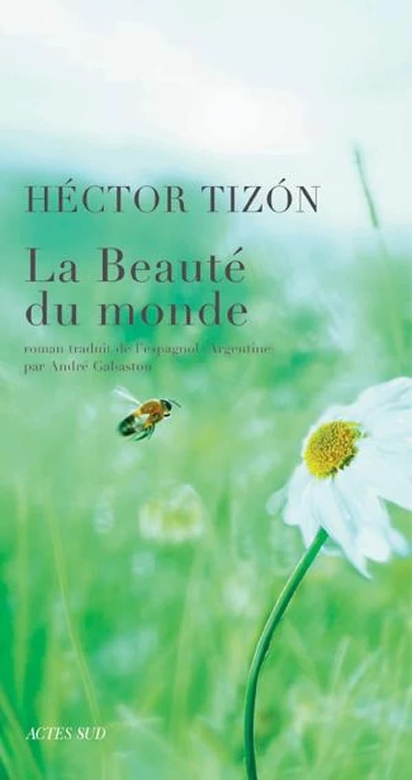 La beauté du monde : roman