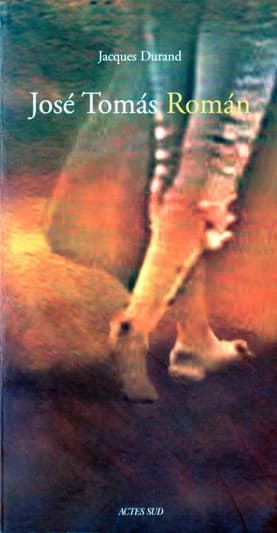 José Tomás Román