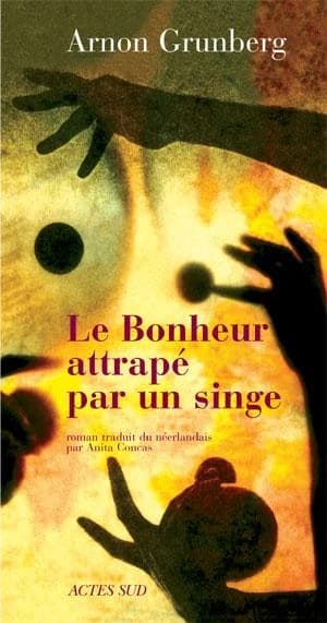 Le bonheur attrapé par un singe : roman