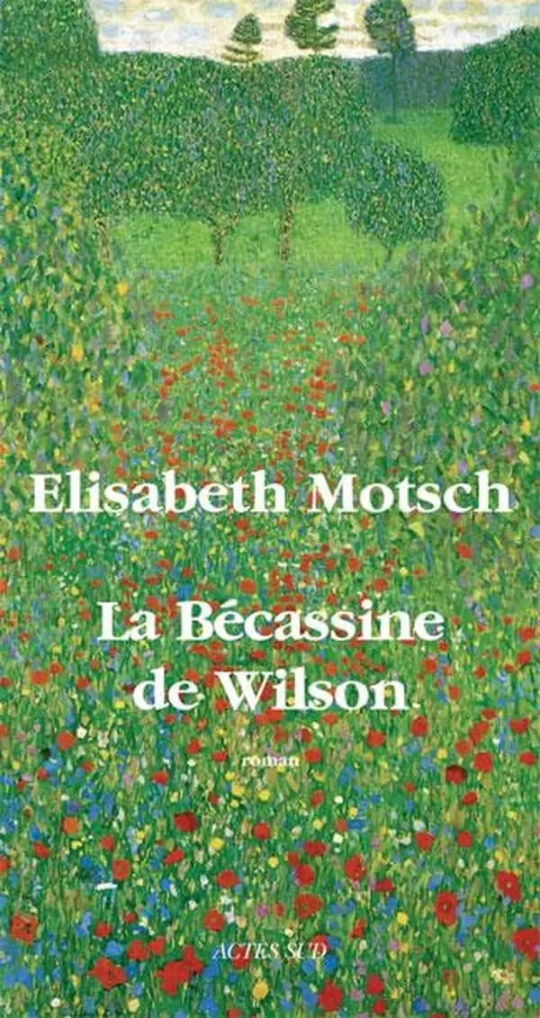 La bécassine de Wilson : roman