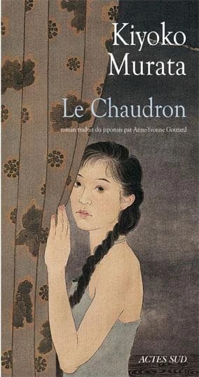 Le chaudron : roman