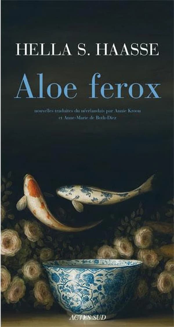Aloe ferox : et autres nouvelles