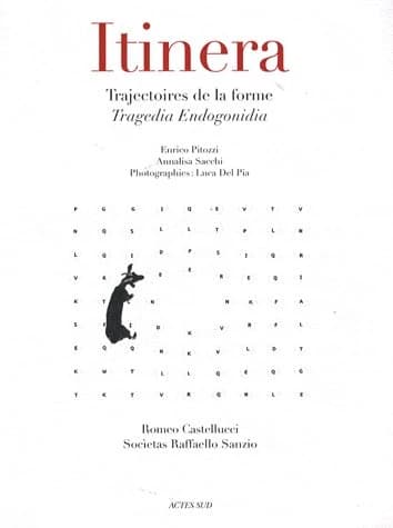 Itinera : trajectoires de la forme, "Tragedia Endogonidia", Romeo Castellucci, Socìetas Raffaello Sanzio