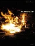 Parmiggiani : [exhibition, Paris, Collège des Bernardins, 21 November 2008-30 January 2009]
