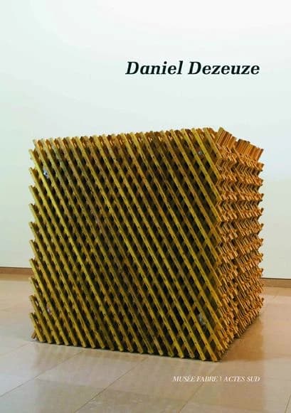 Daniel Dezeuze : troisième dimension : [exposition], 8 mai-5 juillet 2009, Musée Fabre, Montpellier
