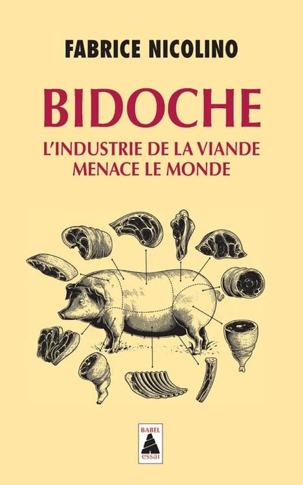 Bidoche : L'industrie de la viande menace le monde