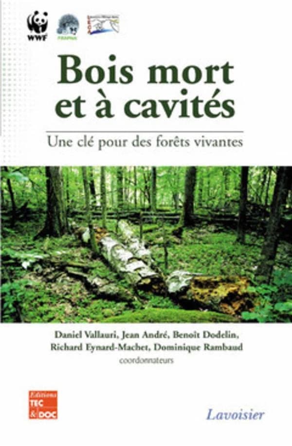 Bois mort et à cavités une clé pour des forêts vivantes