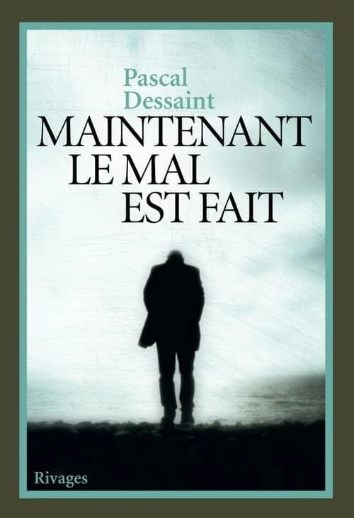 Maintenant le mal est fait : roman