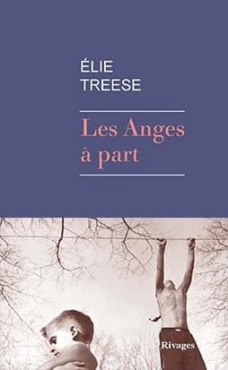 Les anges à part : roman