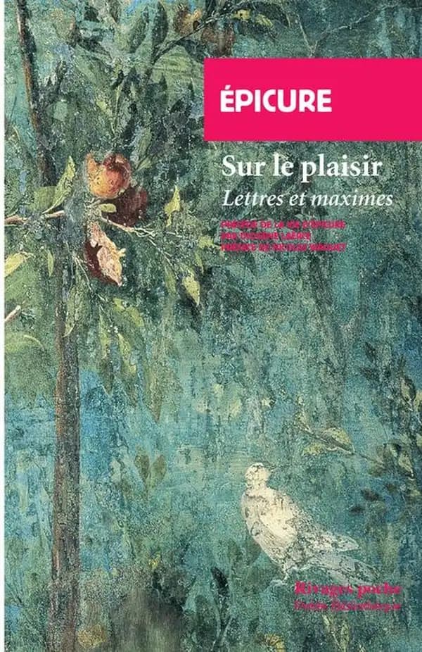 Sur le plaisir : lettres et maximes