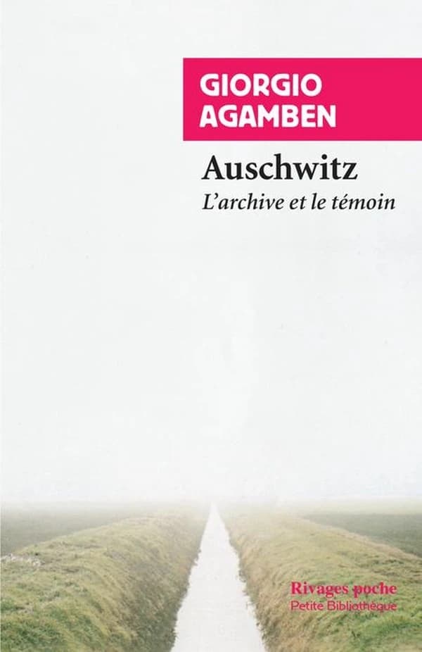 Auschwitz : l'archive et le témoin